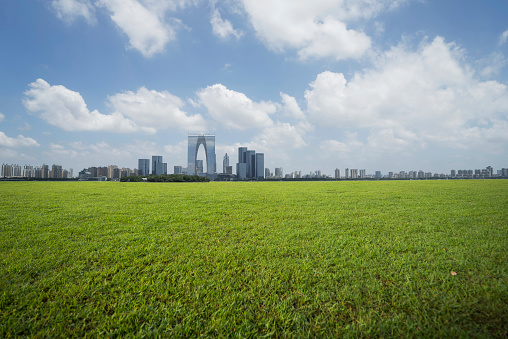 Grassland in modern city, china