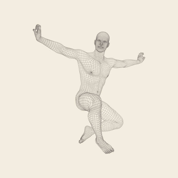 Wire Model Bodycraft 210+ 3d Model Of Man Human Body Wire Model Stock Photos, Pictures ...