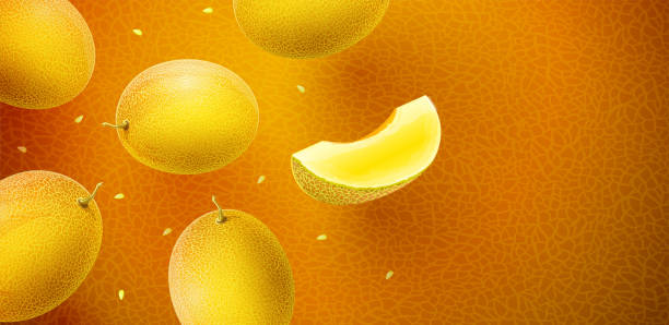 istock Honeydew melon sweet fruits flavour banner design 1020453610