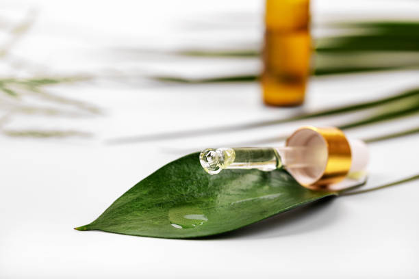 herbal medicine or cosmetics - oil dropping on the green leaf from dropper - drop herbal medicine leaf perfume imagens e fotografias de stock