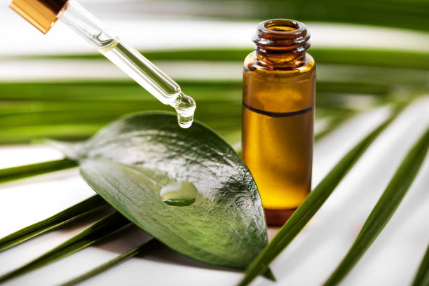 istock essential oil dripping on the green leaf from pipette 1020457138