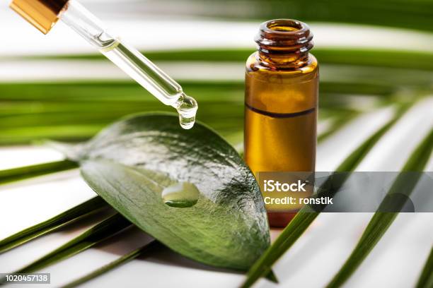 Essential Oil Dripping On The Green Leaf From Pipette Stock Photo - Download Image Now