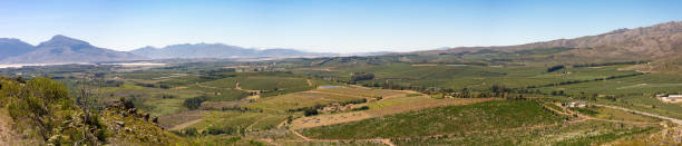istock Valley with fruit orchards near Cape Town in the Western Cape 1020464862