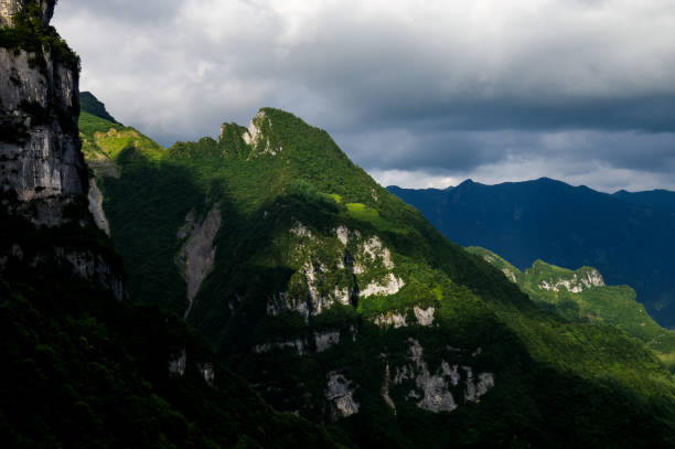 istock Mountains are Covered with Green Trees under Blue Sly 1020465018