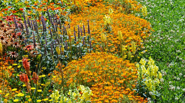 istock Flower bed in garden 1020471410