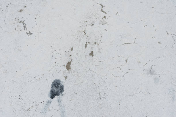 istock Wall fragment with attritions and cracks 1020471780