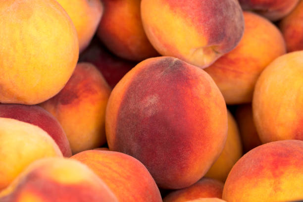 istock fresh ripe peaches in the box ready for sale 1020474988