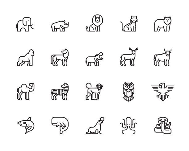 ilustraciones, imágenes clip art, dibujos animados e iconos de stock de iconos de animales - zoo