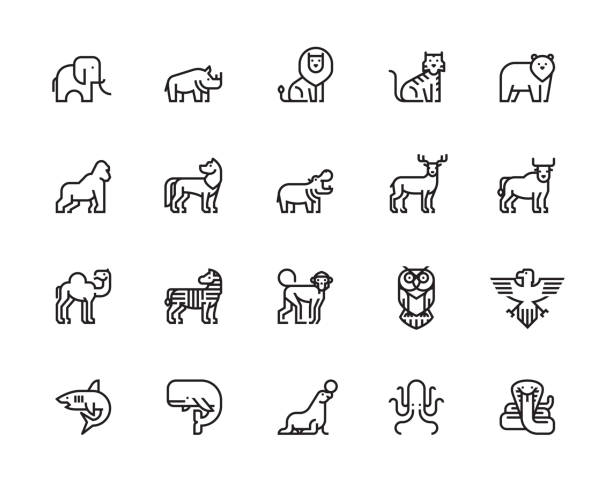 Animal icons Animals, Wildlife, Sea Animals, Zoo, Animal Character, Icons, Vector, Illustration elephant symbols stock illustrations