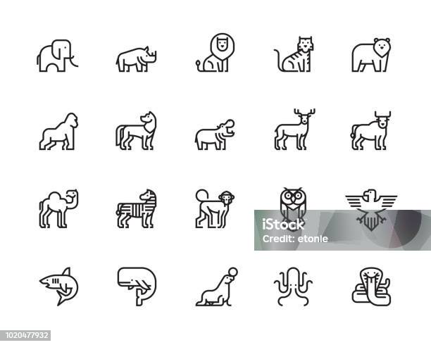 Animal Icons Stock Illustration - Download Image Now - Icon Symbol, Zoo, Animal