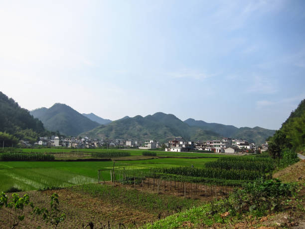 istock Villages and Crops in the Mountain Area 1020477946