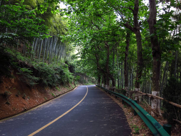 istock New Asphalt Road in Mountain Area 1020477984