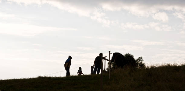 silhouette di una famiglia che accarezza un cavallo - farm florida cattle travel locations foto e immagini stock