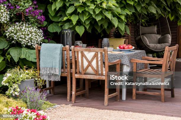 Foto Real De Muebles De Jardín En Terraza Llena De Flores Y Plantas Foto de stock y más banco de imágenes de Jardín privado