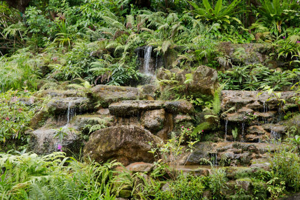 istock Green plants with beautiful waterfall Model in the garden design 1020508058