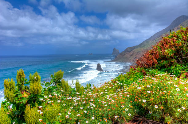 istock Benijo beach, Tenerife, Canary islands, Spain 1020508164
