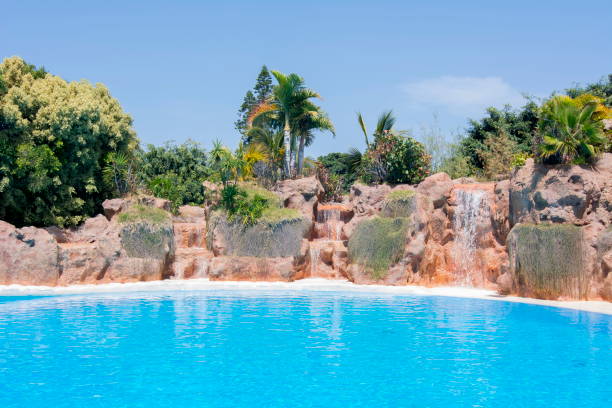 istock Loro park, Tenerife, Canary islands, Spain 1020508486