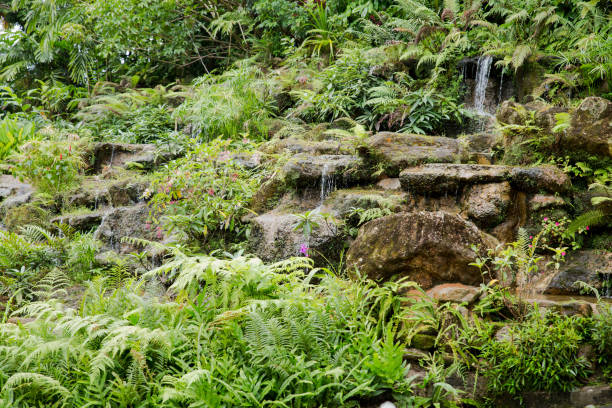 istock Green plants with beautiful waterfall Model in the garden design 1020512458