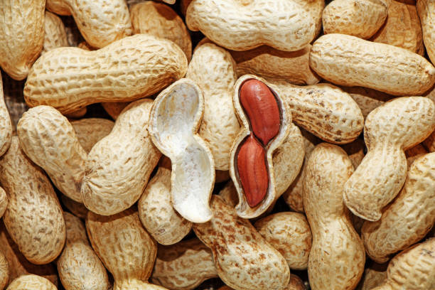 istock Peanuts on the background of sack cloth 1020512462