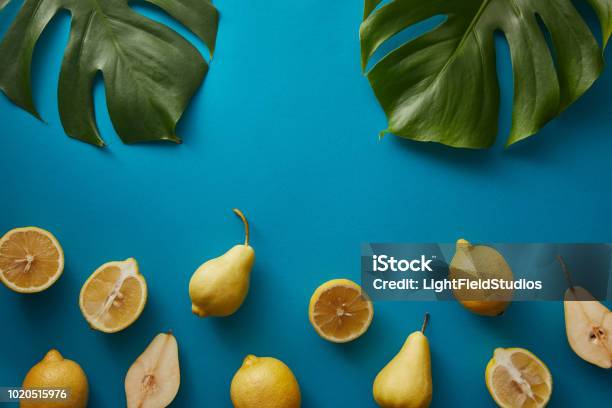 Top View Of Palm Tree Leaves Pears And Lemons On Blue Surface Stock Photo - Download Image Now