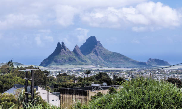 Hunan Curepipe 60+ Curepipe Stock Photos, Pictures & Royalty-Free Images - iStock