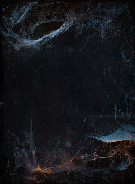 Halloween background with cobweb Halloween background with copyspace. Old terrible cobweb in darkness horror stock pictures, royalty-free photos & images