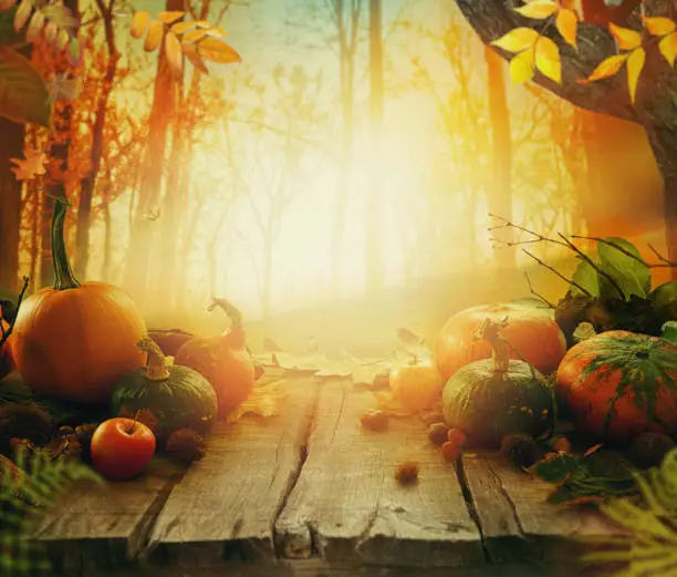 Autumn fruit on table. Selection of fruit in autumn forest