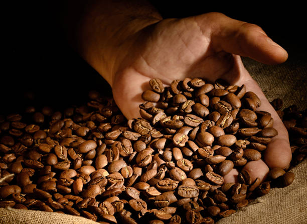 istock Coffee beans in hand on dark background. 1020522350