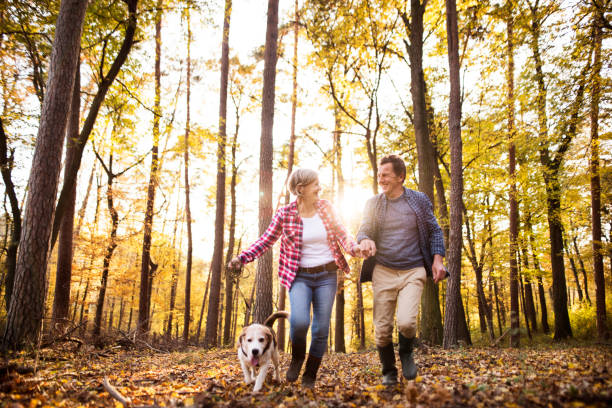 senior pareja con perro en un paseo por un bosque de otoño. - autumn women park forest fotografías e imágenes de stock