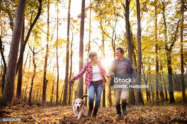 Senior Couple With Dog On A Walk In An Autumn Forest Stock Photo - Download Image Now