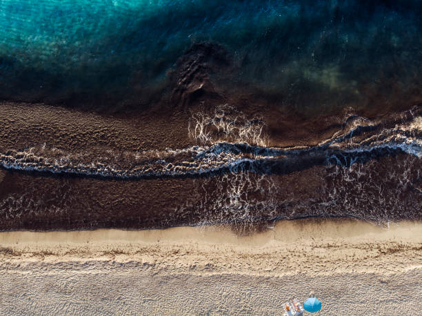 istock Beach populated by people with aerial views 1020526628