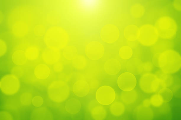 istock Green bokeh abstract light background blurly white bokeh on yellow and green background 1020539006