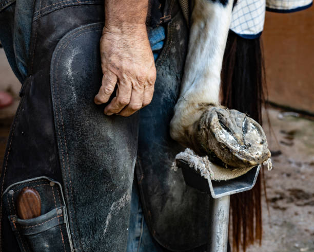 istock Faceless portrait of a farrier 1020570164