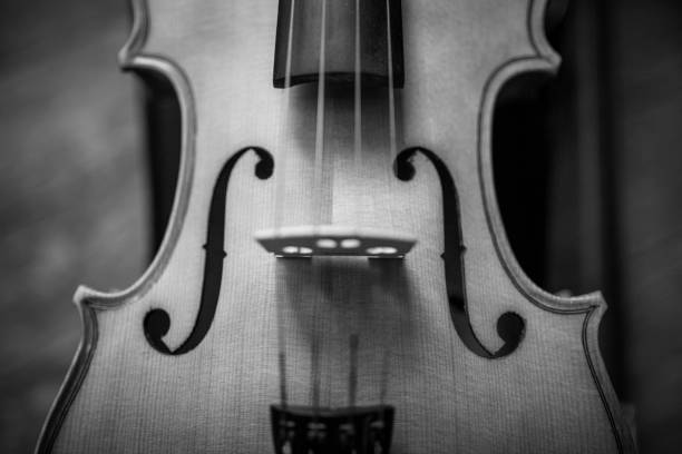 istock Close-Up Of Violin 1020573508