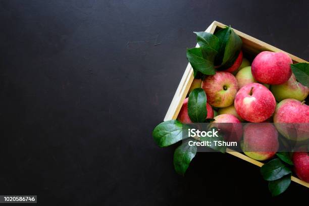 Mele Rosse Fresche Nella Scatola Di Legno Su Sfondo Nero Vista Dallalto Spazio Di Copia - Fotografie stock e altre immagini di Mela