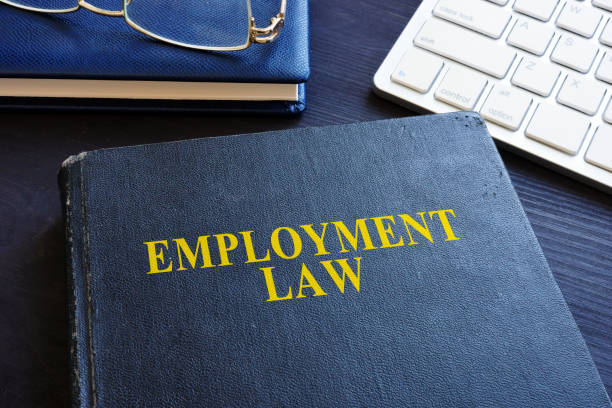 istock Employment law and glasses in the office. 1020596408
