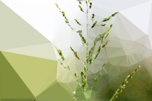 istock Abstract Green Plant in the Meadoow 1020599670