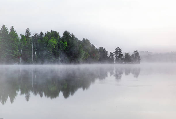 istock Lake reflection of soft white mist and evergreen forest 1020599682