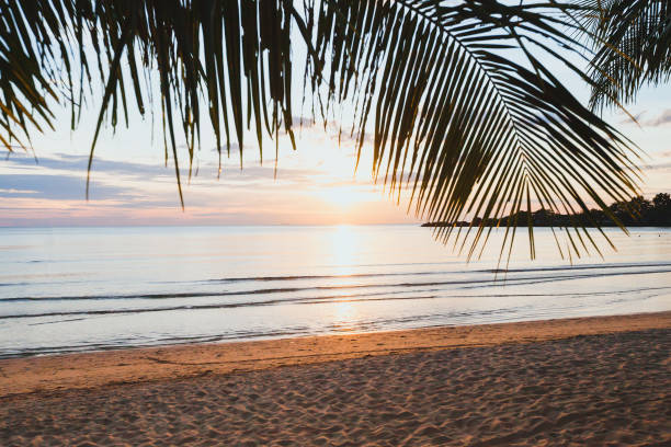 istock tropical holiday beach at sunset, empty exotic vacation landscape 1020605302