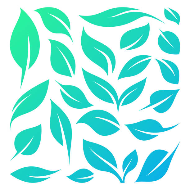 blätter und blatt symbole - flowing nature leaf tree stock-grafiken, -clipart, -cartoons und -symbole