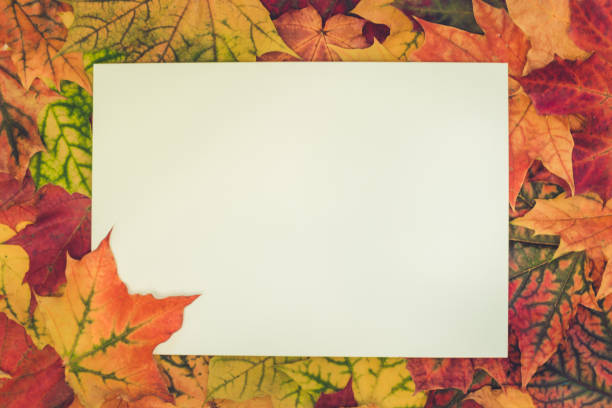 istock Autumn colorful leaves around white blank for your text. Top view and copy space. Fall concept. 1020605776