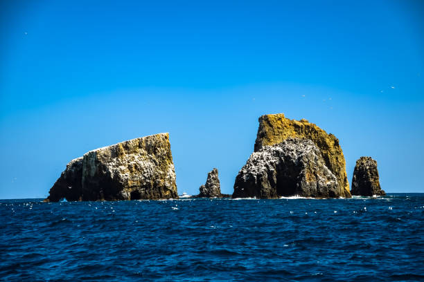 Rock formations near Anacapa Island in the Channel Islands National Park in California 14 miles off the coast of Ventura anacapa island stock pictures, royalty-free photos & images