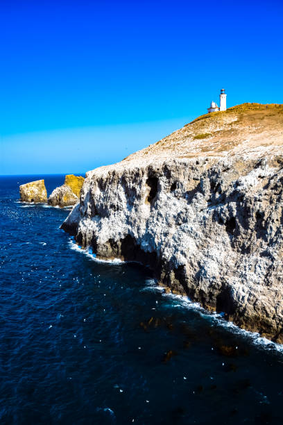 Cliffs and rock formations on Anacapa Island in the Channel Islands National Park in California 14 miles off the coast of Ventura anacapa island stock pictures, royalty-free photos & images