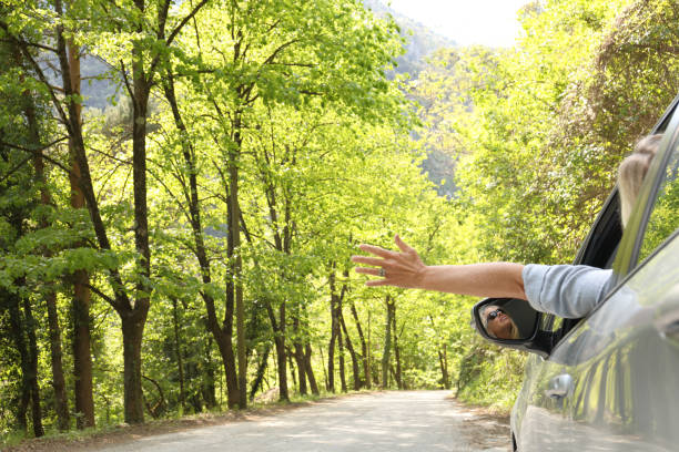Woman drives along sunny tree-lined road