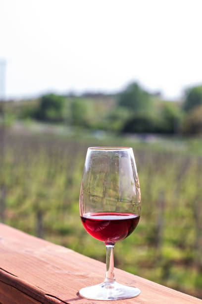 istock Glasses with wine. Red, pink, white wine in glasses. 1020617240