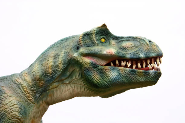 istock Head of vicious dinosaur 1020619712