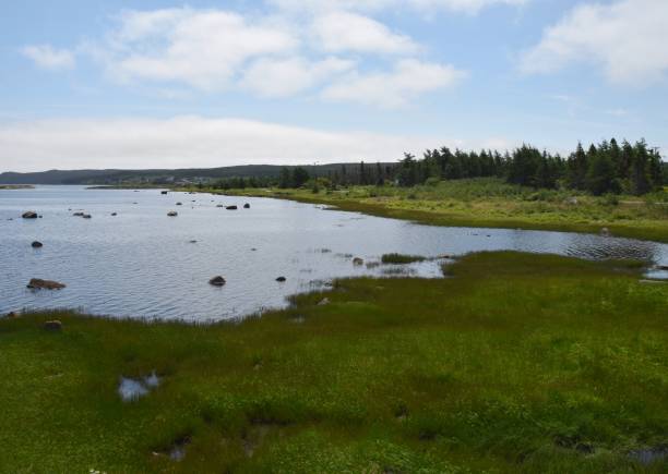 istock Renews river estuary landscape. NL Canada 1020628092