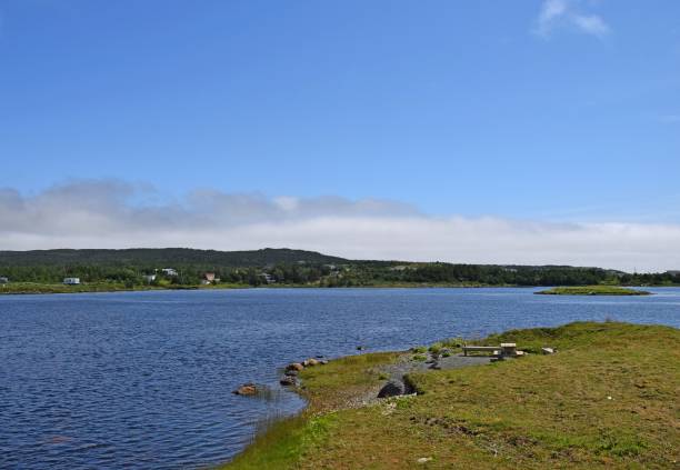 istock Renews river estuary landscape. NL Canada 1020628108