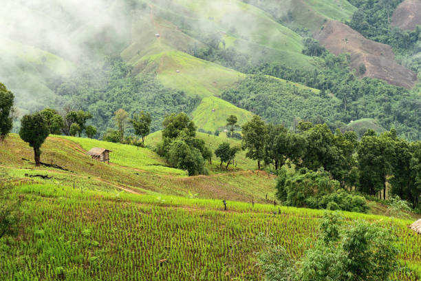 istock View of the mountain in Pua district 1020628368