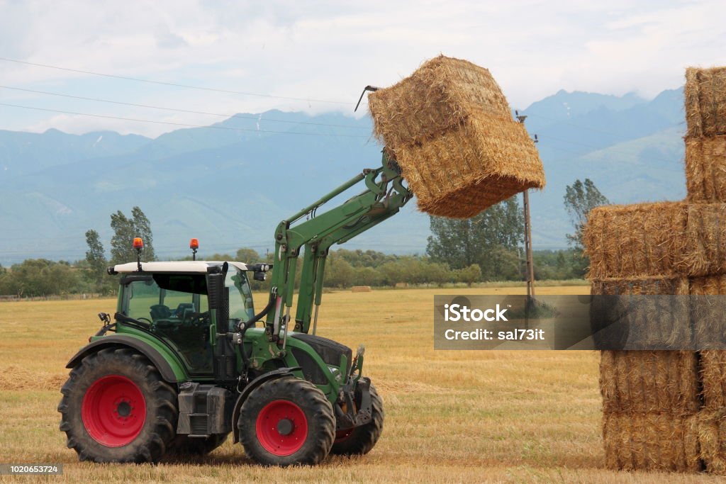 Hay tractor stacking hay bales on a big pile Agricultural Field Stock Photo Hay tractor stacking hay bales on a big pile Agricultural Field Stock Photo